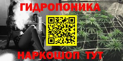 гашик Бугуруслан