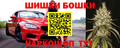 индика Волжский