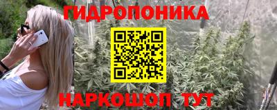 марихуана Будённовск