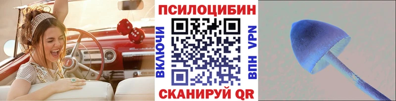 купить наркотик  Ленинск-Кузнецкий  Псилоцибиновые грибы Cubensis 