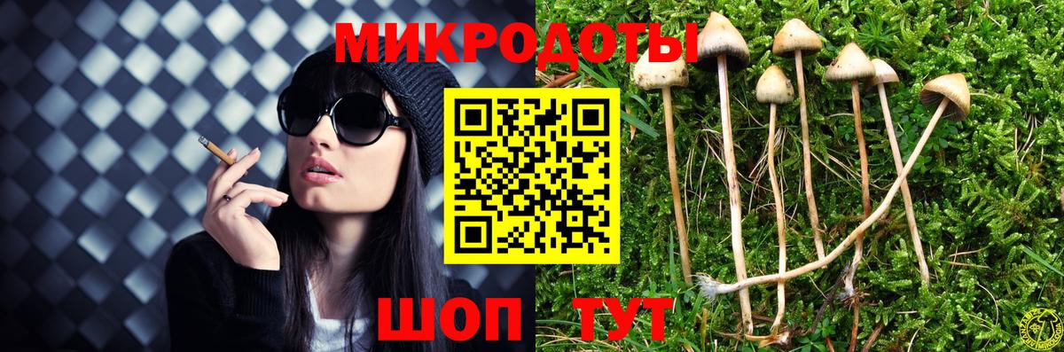 Галлюциногенные грибы мухоморы Ленинск-Кузнецкий