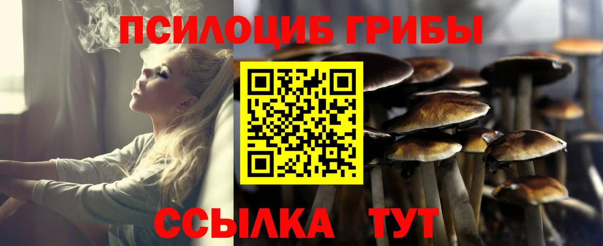 Галлюциногенные грибы мухоморы  купить наркотик  Ленинск-Кузнецкий 