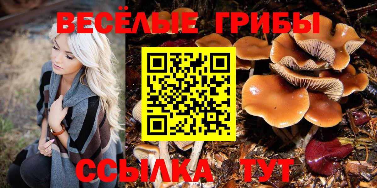 Галлюциногенные грибы Magic Shrooms  Вход с VPN  Ленинск-Кузнецкий  Псилоцибиновые грибы прущие грибы 